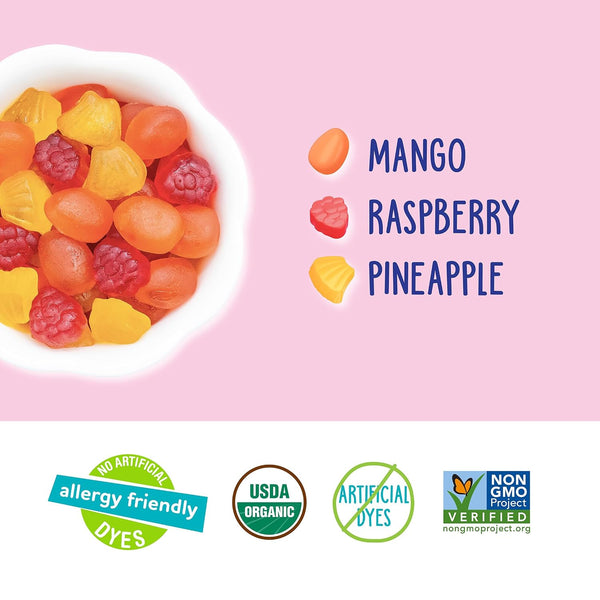 YumEarth Organic Tropical Fruit Snacks (Pack of 35) - 0.7 Ounce Snacks Packs - Non GMO, Gluten Free, Vegan, Dye Free - Pineapple, Raspberry, Mango