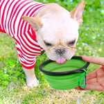 dog collapsible bowls 2 pack small blue+green for cats dogs portable pet feeding watering travel