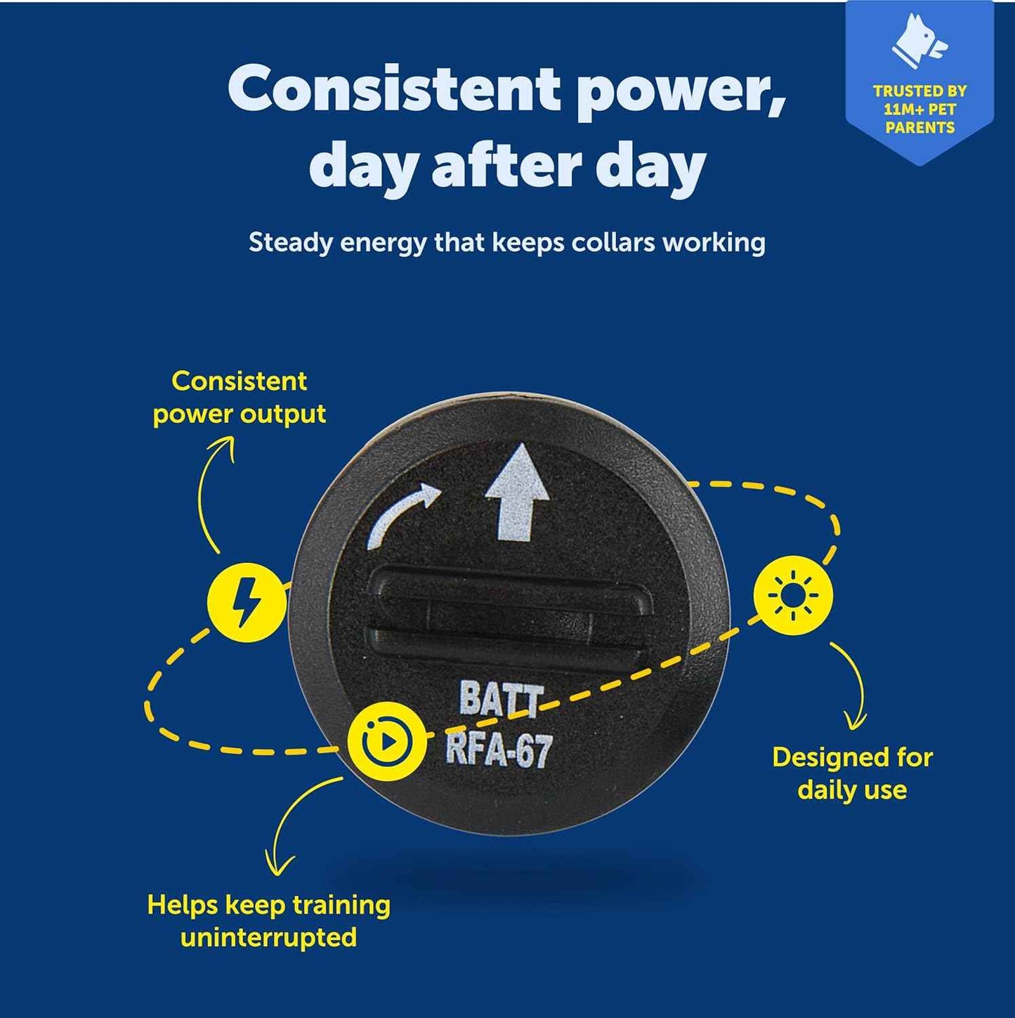 PetSafe Dog Collar Batteries (2 Pack) Dog Collar Battery Waterproof Lithium Metal Product, Rfa-67d-11