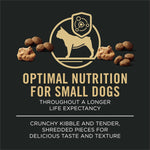 Purina Pro Plan Small Breed dry dog food for highly active dogs, shredded beef and rice formula with live probiotics, 6 lb bag