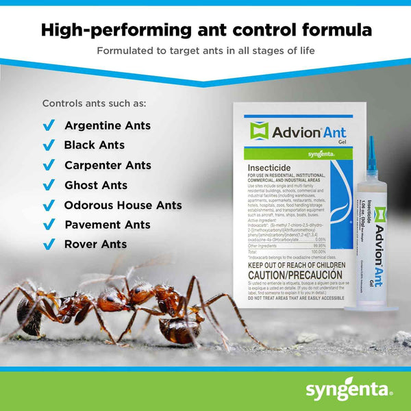 Advion Ant Gel Bait, 1 30-Gram Tube, 1 Plunger and 1 Tip, Effective Bait, Formulated with 0.05% Indoxacarb, Indoor and Outdoor Use, Killer Gel for Control of Most Major Ant Species