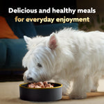 cesar steak lovers variety pack adult wet dog food real meat 36 count 3.5 oz easy peel trays