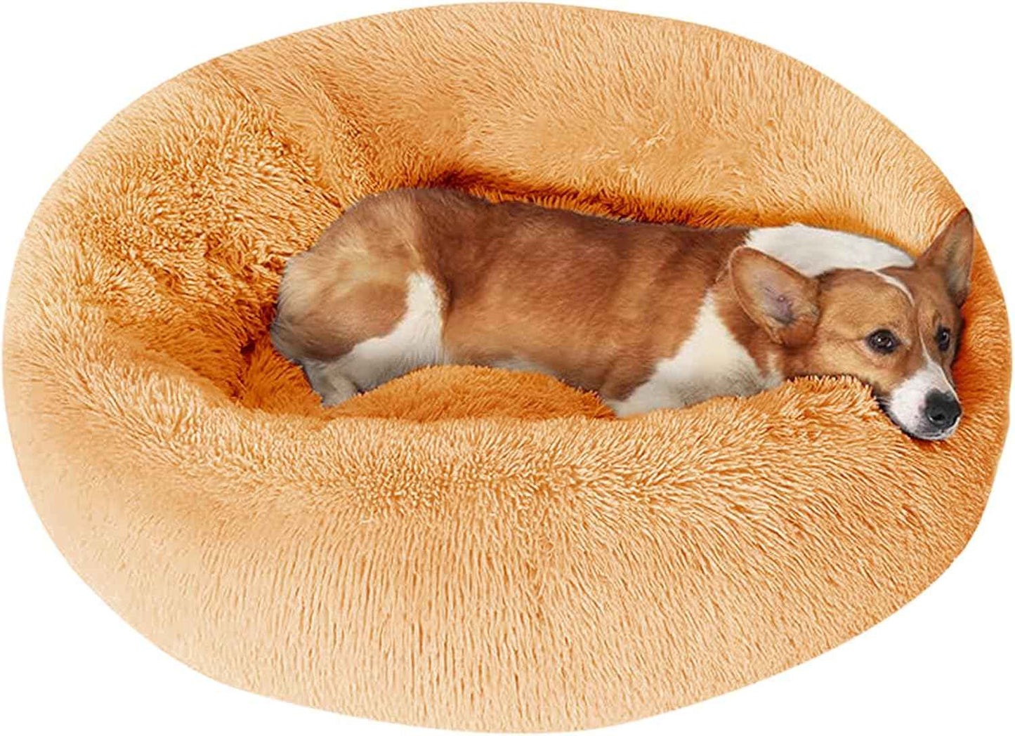 JOLLYVOGUE Dog & Cat Bed, Calming Anti-Anxiety Pet Bed for Small Dogs, Fluffy Donut Cushion for Small and Medium Pets (20")