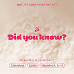 The Face Shop Rice Water Bright Makeup Remover Wipes with Rice Extract for Brightening and Moisturizing