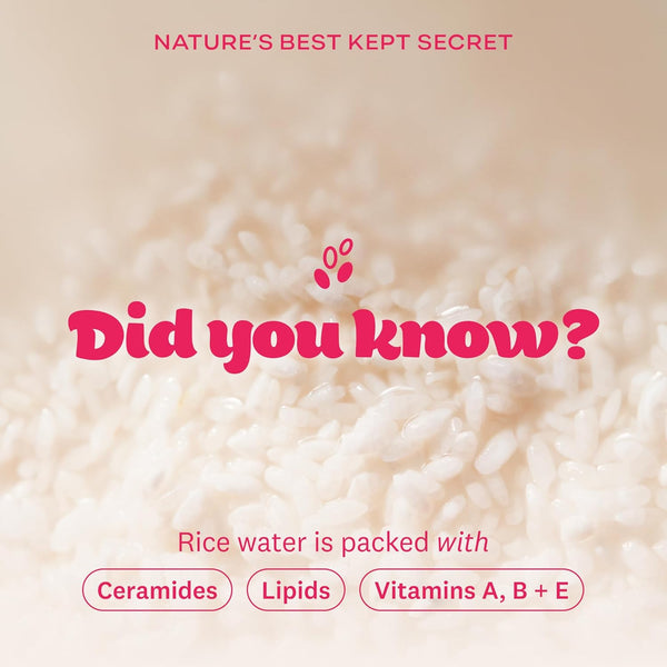 The Face Shop Rice Water Bright Makeup Remover Wipes with Rice Extract for Brightening and Moisturizing