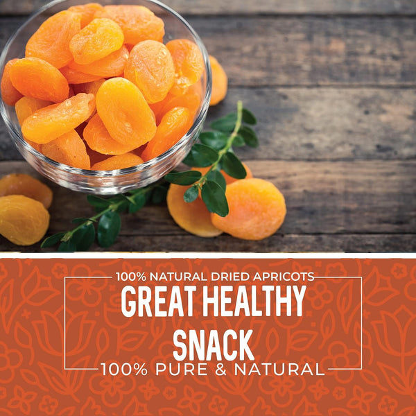 Dried Apricots No Sugar Added, 1 Pound, Turkish Apricots Dried Fruit