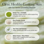 arencia korean rice mochi face cleanser gentle scrub all in one for deep cleansing and moisturizing