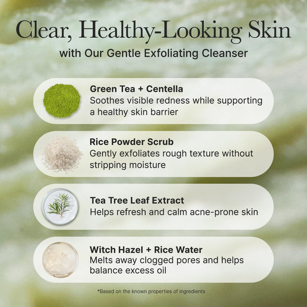 arencia korean rice mochi face cleanser gentle scrub all in one for deep cleansing and moisturizing