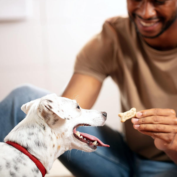 Milk-Bone Original Dog Treats Biscuits for Medium Dogs, 10 Pound Box, Crunchy Texture, Fortified with 12 Vitamins