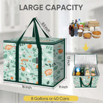BALEINE 2Pk Insulated Reusable Grocery Bags, Collapsible Cooler Bag for Groceries, Heavy Duty Large Insulated Bag (16''x9''x13'', Spring Stroll)