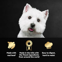 cesar filets in gravy wet dog food variety pack, 3.5 oz easy peel trays, usa made