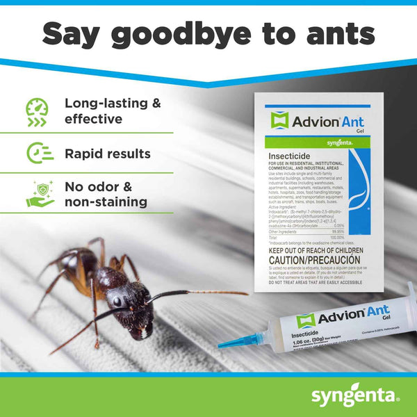 Advion Ant Gel Bait, 1 30-Gram Tube, 1 Plunger and 1 Tip, Effective Bait, Formulated with 0.05% Indoxacarb, Indoor and Outdoor Use, Killer Gel for Control of Most Major Ant Species