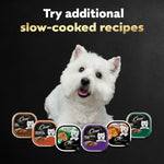 cesar steak lovers variety pack adult wet dog food real meat 36 count 3.5 oz easy peel trays