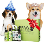 PAWFUME Dog Perfume Spray Long Lasting Scent for Grooming, Show Dog, 1-Pack – Keep Your Pup Fresh All Day – Hypoallergenic, Alcohol-Free, Detangling Formula – Moisturizing Pet Cologne Spray for Dogs