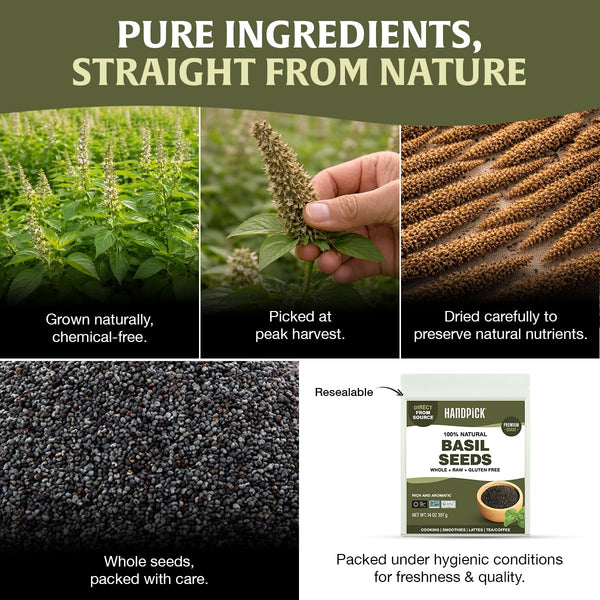 HANDPICK Holy Basil Seeds (397g/14oz) | 2x More Fiber than Chia | Edible Basil Seeds, Gluten free, Raw Sabja, Tukmaria Seeds | Prebiotic | Packed in Resealable Zip Lock Pouch (Packaging may vary)