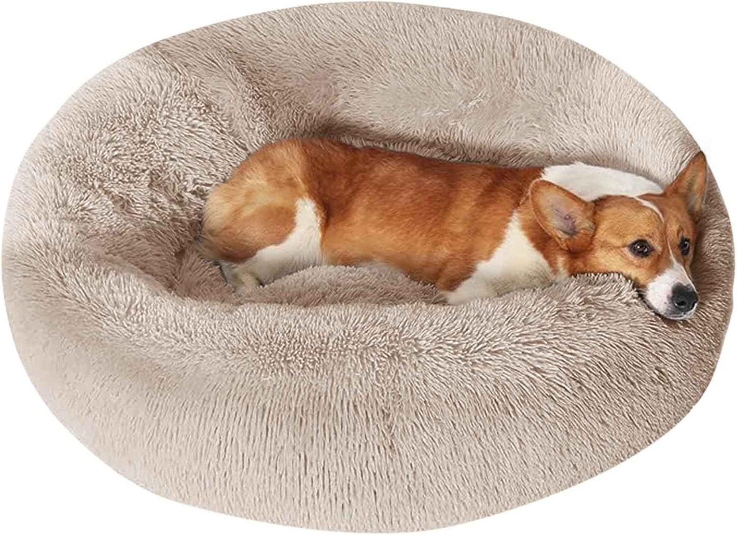 JOLLYVOGUE Dog & Cat Bed, Calming Anti-Anxiety Pet Bed for Small Dogs, Fluffy Donut Cushion for Small and Medium Pets (20")