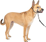 PetSafe Gentle Leader Headcollar - No-pull dog collar for medium black size - Durable nylon construction - Adjustable fit