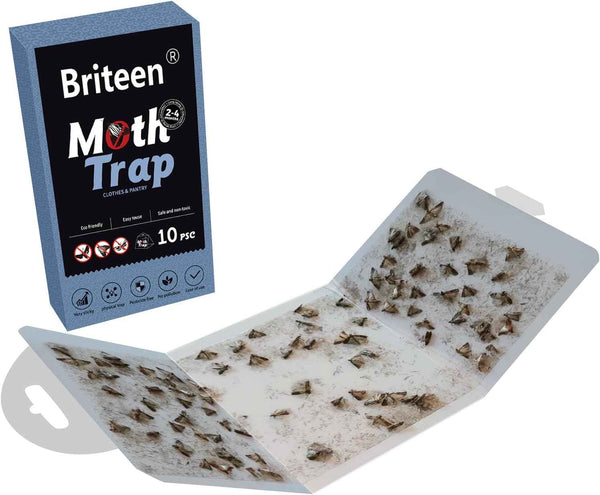 10 pack pantry moth traps with pheromones and glue for safe food and clothing protection