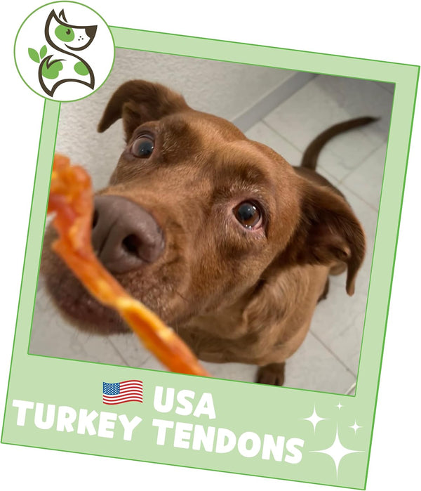 nature gnaws usa turkey tendons for small medium large breed dogs 4oz grain free reward snack