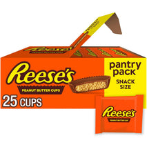 REESE'S Milk Chocolate Snack Size Peanut Butter Cups, 25 Pieces, 13.75 oz Kosher and Gluten Free