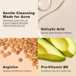 paulas-choice-clear-pore-normalizing-facial-cleanser-salicylic-acid-face-wash-oily-acne-prone-skin