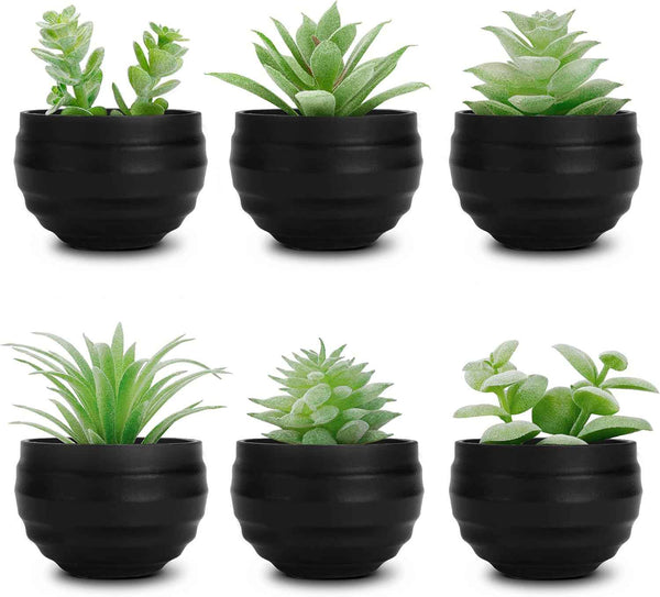 Der Rose Set of 6 Succulents Plants Artificial in Pots Small Fake Plants for Bedroom Aesthetic Living Room Shelf Bathroom Decor Office Desk Accessories