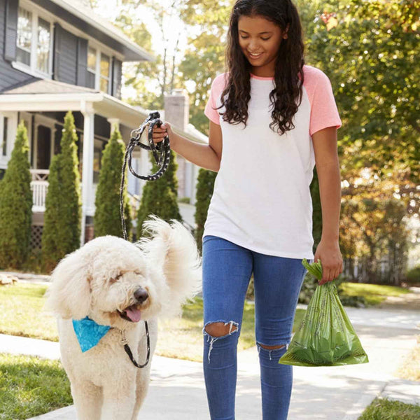 Lavender scented dog poop bags, 240 count, 13" x 9", leakproof, strong, and sturdy
