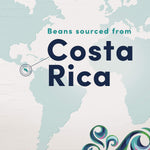 Gevalia Costa Rica Single Origin Special Reserve K-Cup Coffee Pods