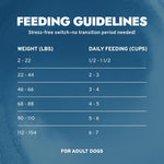 Limited Ingredient Dog Food with Omega-3, Non-GMO, Dry Food for Kidney Support, Forza10, 8.8 lb, Made in Italy