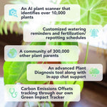 Flora Pod AI-Powered Smart Plant Monitor | for Indoor or Outdoor Plants | Personalized Alerts for Moisture, Temperature, Humidity, and Light