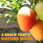 Dried Mango Slices - Soft & Juicy Low Sugar Added Dried Mango