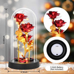 Red Valentines Day rose gift for her, women's light up glass rose in a dome, birthday gifts for women