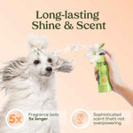 pawfume dog perfume spray, 1-pack, hypoallergenic, alcohol-free, detangling formula, moisturizing pet cologne