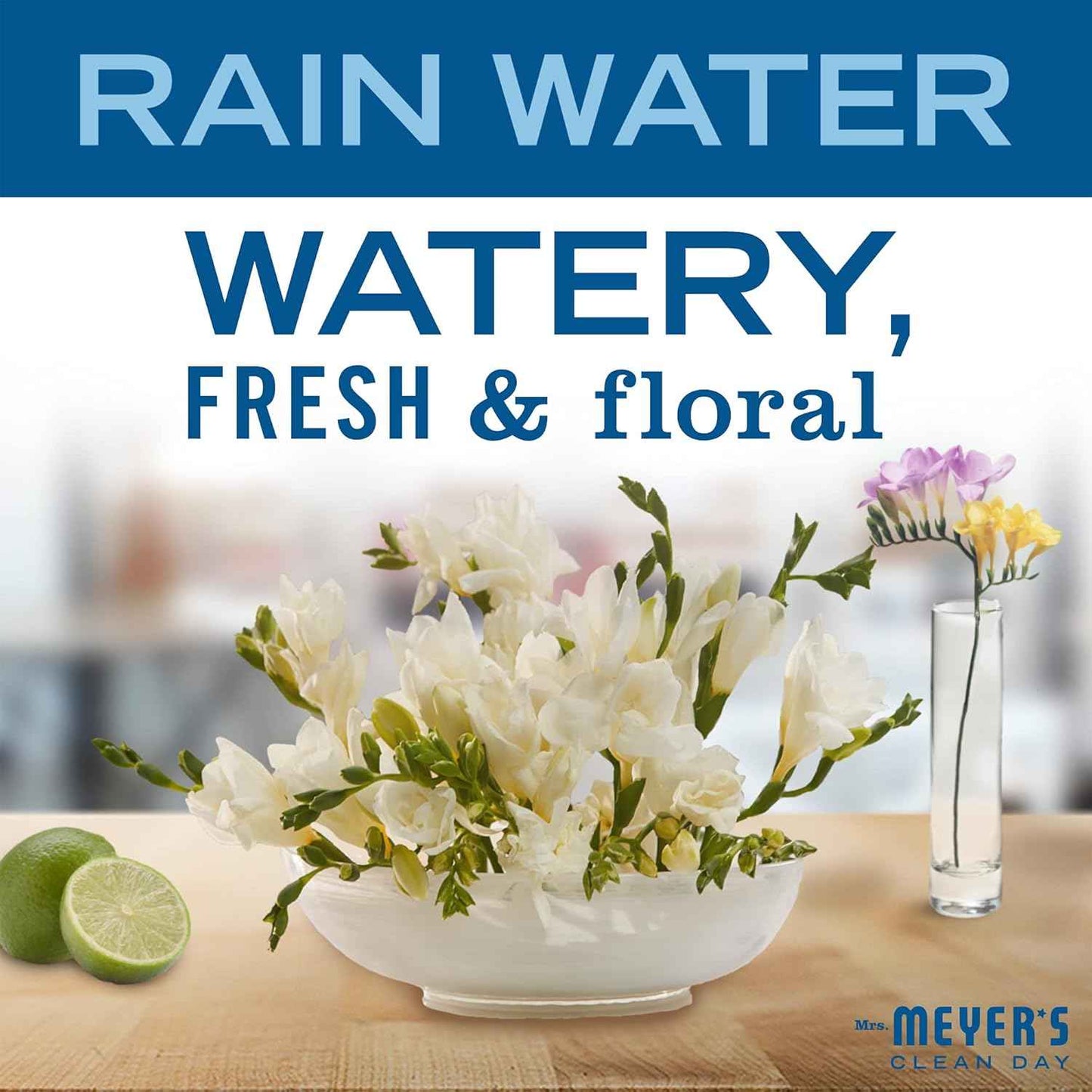 mrs meyers clean day multi surface everyday cleaner, 16 ounce bottle, rain water scent