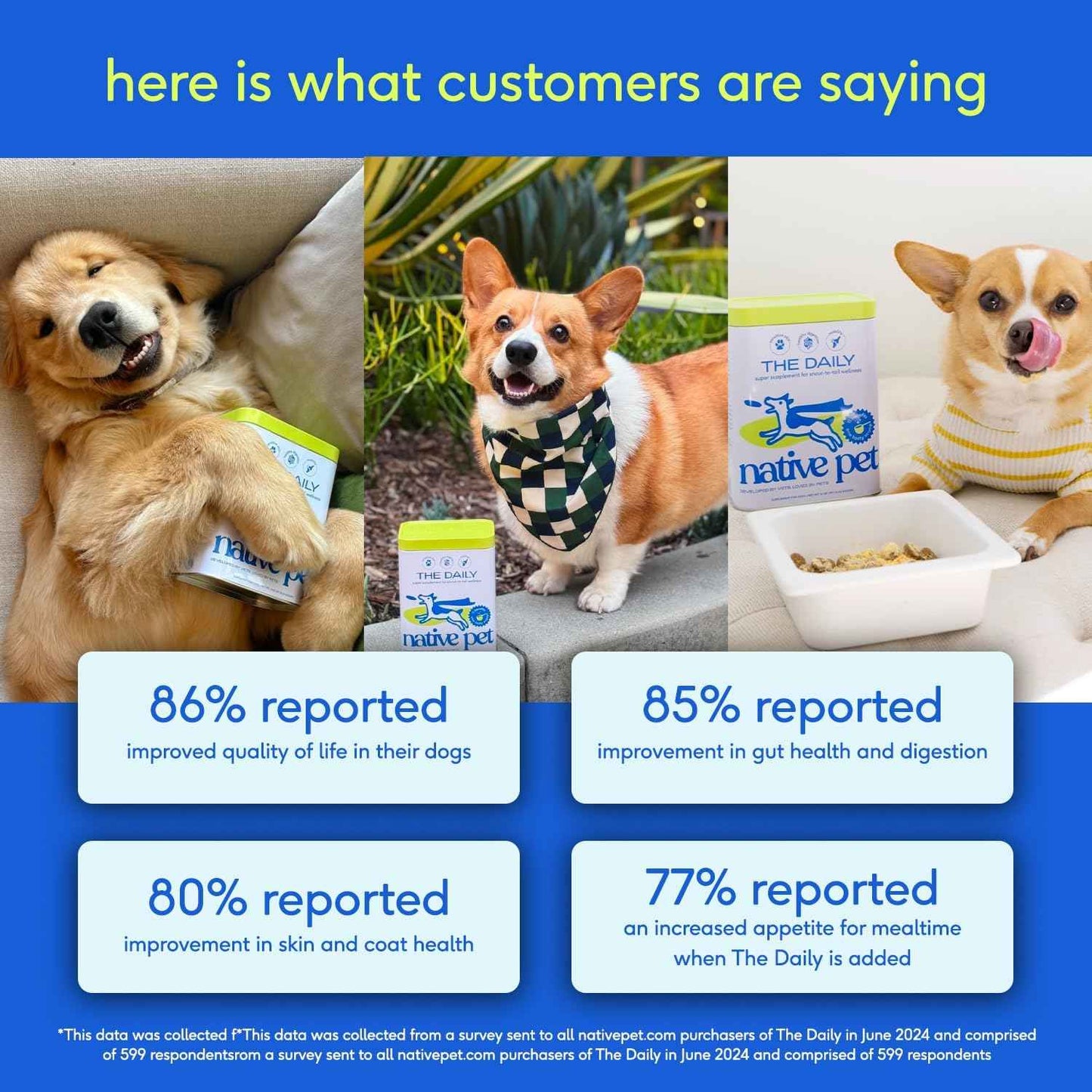 Native Pet Dog Vitamins & Supplements - 11-in-1 Multivitamin Powder for Dogs Food Topper - Collagen, Glucosamine, Probiotics, Omega & More- Supports Healthy Gut, Mobility & Overall Health -30 Scoops