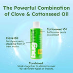 bugmd ant killer and bug spray concentrate - eco-friendly pest control for indoor cockroaches and roaches