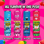 Push Pop Candy Lollipops Variety Pack 24 Count Assorted Fruity Flavors