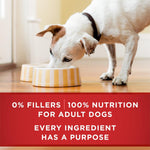 purina one natural high protein dog food tender cuts in gravy chicken and brown rice entrée pack of 12