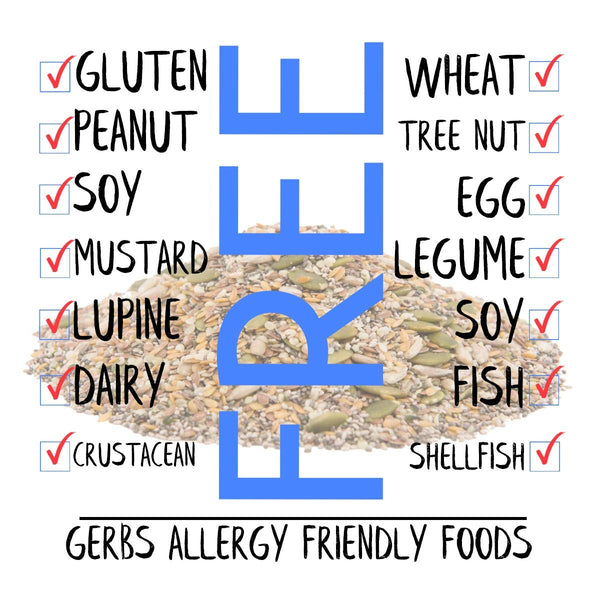 Gerbs Super 7 Seed Snack Mix 1 lb bag, raw, no artificial additives, resealable