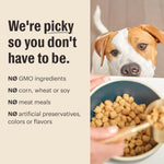 honest kitchen whole food clusters grain free turkey dry dog food 20 lb bag