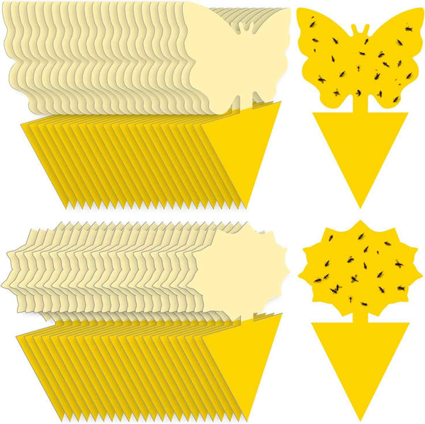 landisun 48pcs yellow fruit fly sticky traps for indoor outdoor potted plants bug insects