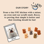 Bocce's Bakery Dailies Brushy Sticks for Medium Dogs, Wheat-Free, All-Natural Coconut & Mint, Baked in USA