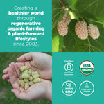 Organic White Turkish Mulberries for Snacks and Baking