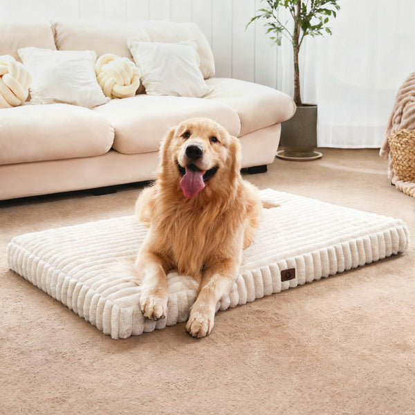 large dog orthopedic pet bed with waterproof lining and anti slip bottom