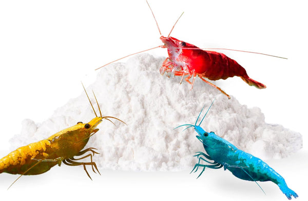 SunsGrow shrimp rocks for crayfish, hermit crab, snails, aquarium decor, crustacean care, nano tank accessories, fish tank supplies