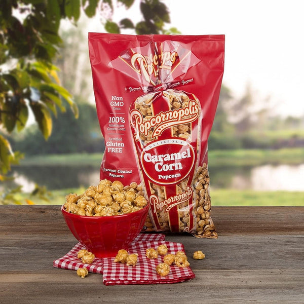 Popcornopolis Zebra Striped Caramel Corn with Confectionery Chocolate 24 Ounce American Grown