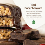 NuGo Dark Chocolate Pretzel Protein Bar, Vegan, Gluten Free, Non-GMO, Kosher Pareve, 24 Count