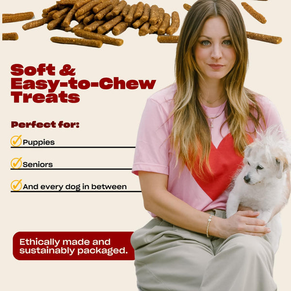 Soft Beef Jerky Dog by Kaley Cuoco, Air Dried, Free Range Beef, 6 Oz