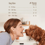 All Natural Beef Jerky Tenders for Dogs, 24 oz, Human Grade, Free Range
