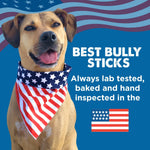 Best Bully Sticks Thick 6 Inch Natural Beef Bully Sticks for Large Breeds Dogs - Single Ingredient - 5 Count